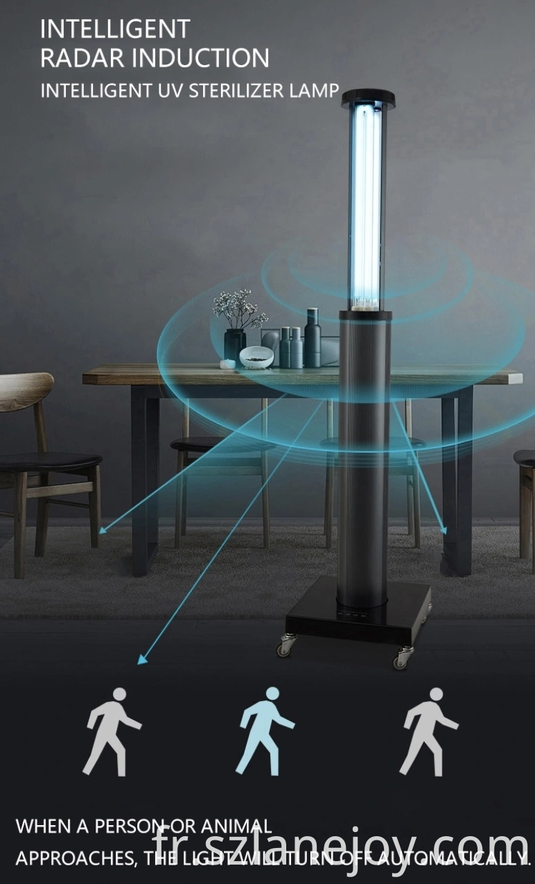 Lampe UV ultraviolette de désinfection de l'ozone UVC stérilisant la lumière germicide